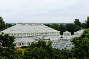 キューガーデンとは？ロンドンにある王立植物園の魅力をお届け！