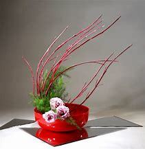 サンゴミズキ(珊瑚水木)の育て方!剪定方法や上手な管理のコツ!