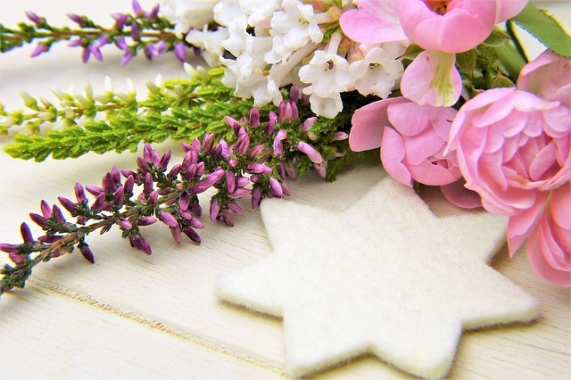 カルーナとは?人気の理由や品種&上手な管理方法・育て方をご紹介!のイメージ