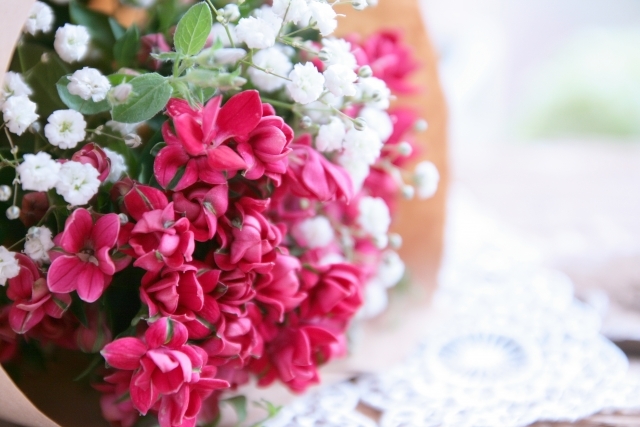 ブバルディアの花言葉と育て方！切り花などのアレンジ例も5種ご紹介！