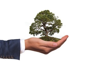 「取り木」とは？代表例を用いて時期・期間など具体的なやり方を解説！