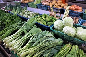 冬でも家庭菜園ができる野菜12選！初心者でも簡単に育てられる野菜は？