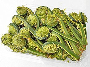 「こごみ・わらび・ぜんまい」の違い・見分け方と食べ方をご紹介!