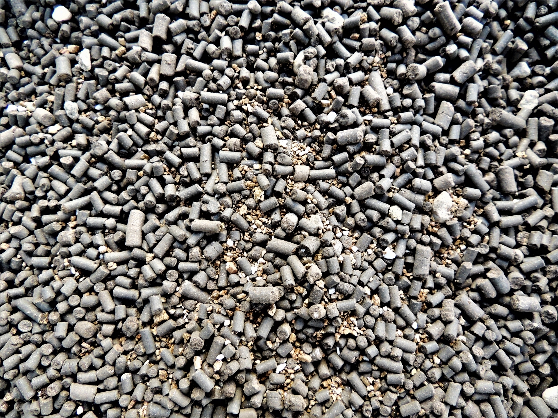 ゴールデン培養土とは?特徴や野菜・観葉植物での使い方をご紹介!のイメージ