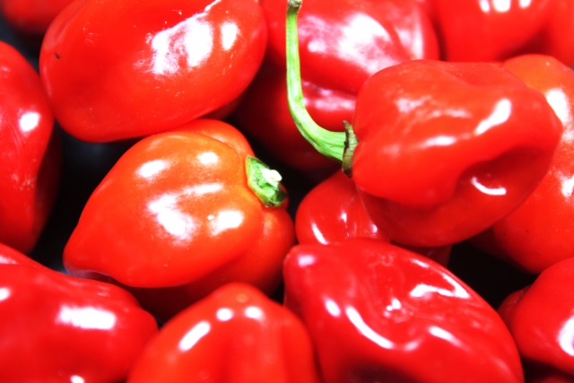 ハバネロの栽培方法!種まきから収穫時期・方法まで育て方を解説!のイメージ