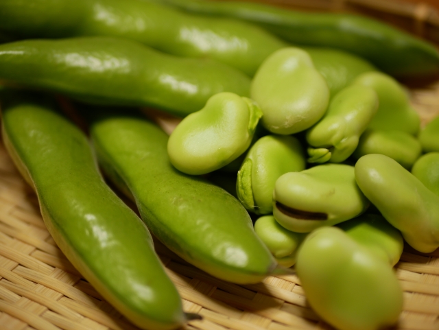 そら豆の上手な保存方法とは?茹で方から冷蔵・冷凍方法まで解説!のイメージ