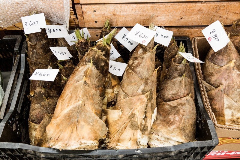 たけのこ(筍)の旬はいつ?収穫の時期から美味しい食べ方までご紹介!のイメージ