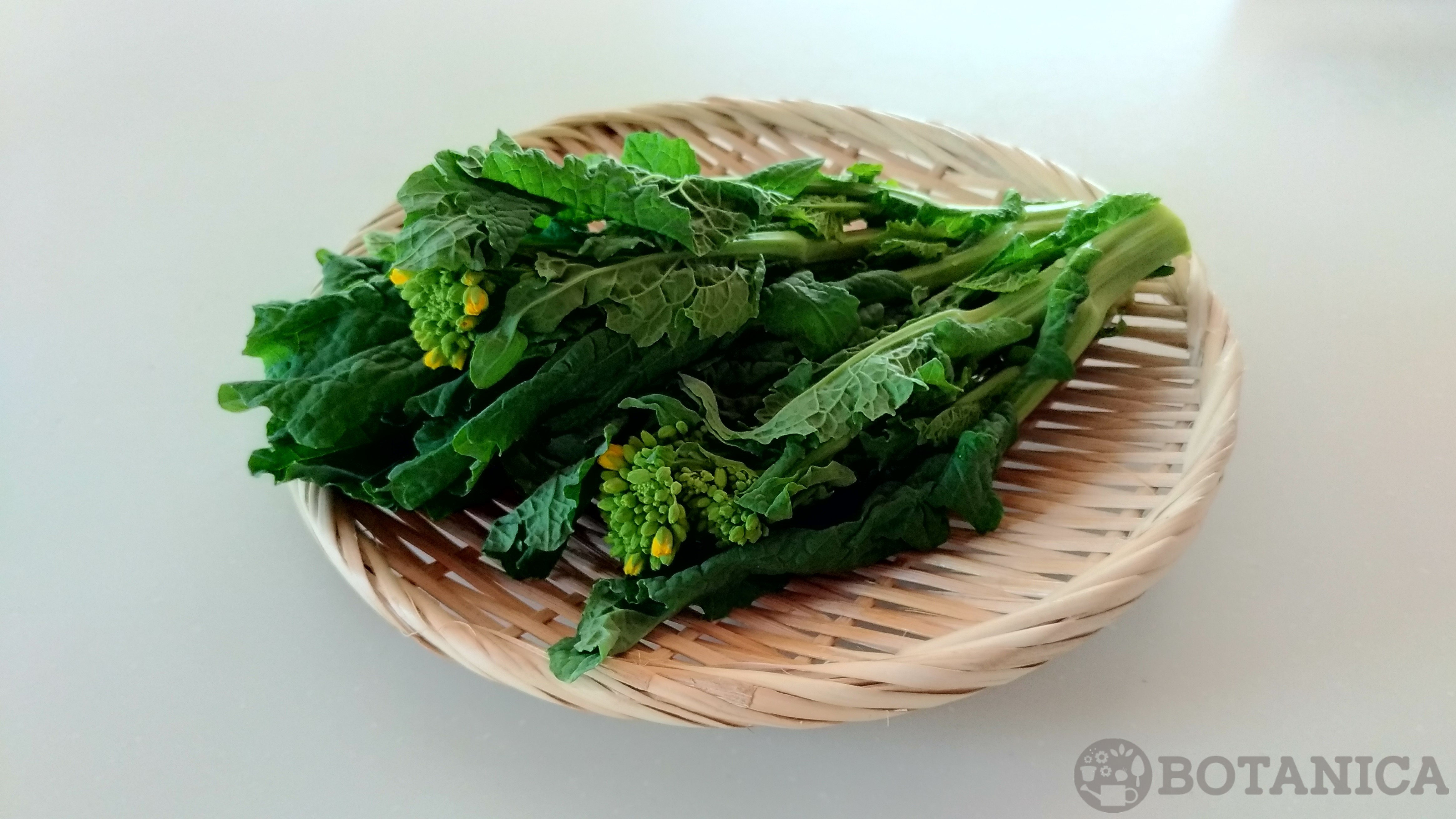 菜の花の旬な季節はいつ?開花時期から美味しい食べ方までご紹介!のイメージ