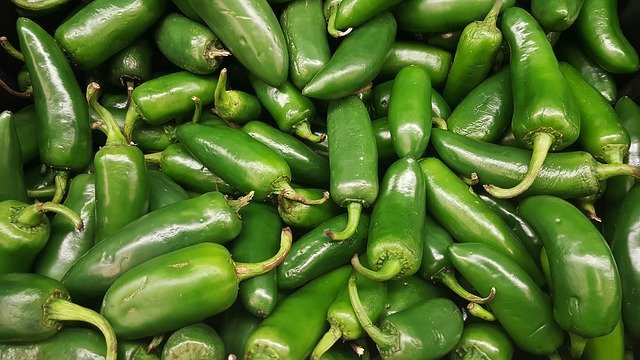 ハラペーニョソースとは?手作り方法や使い道を紹介!合う料理は?