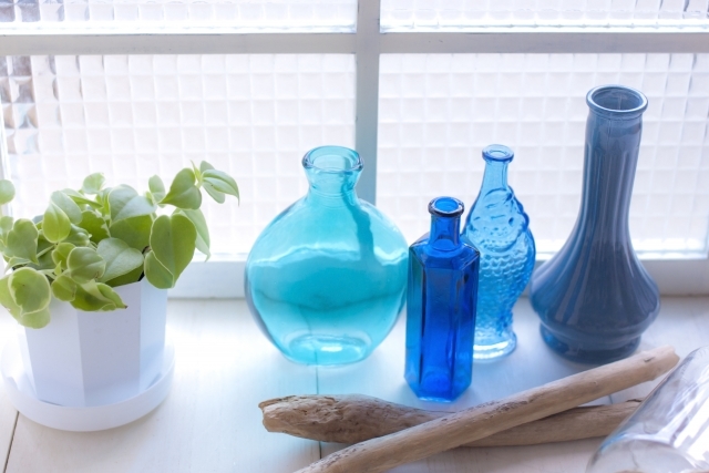 ペペロミアとは?種類別の特徴や増やし方などの上手な育て方を解説!