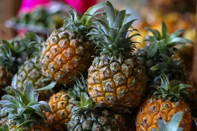 パイナップルの育て方!鉢での植え方から収穫までの栽培のコツを解説!