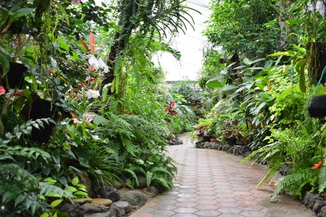 東京近郊にある植物園まとめ15選!各施設の見どころや設備もご紹介!