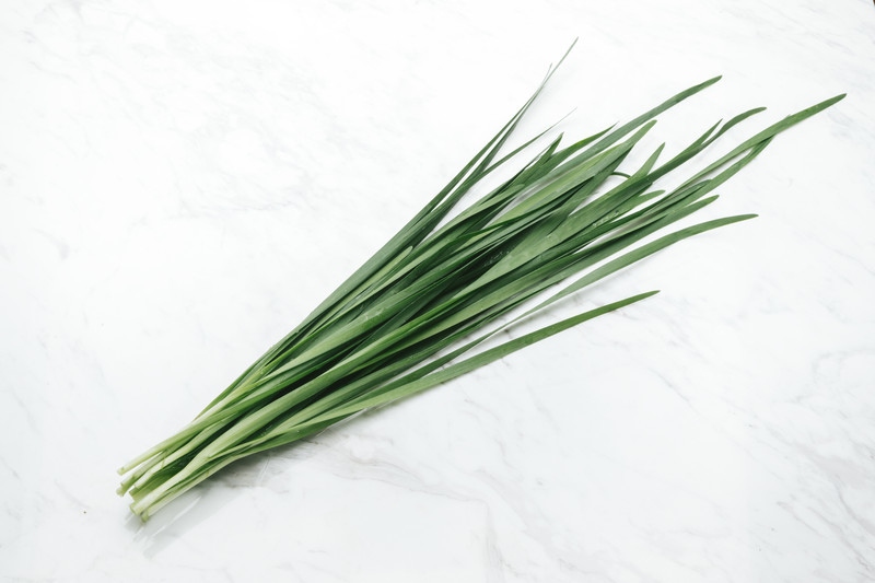 ニラの栽培方法!種まきの仕方・土作りのコツから収穫方法まで解説!