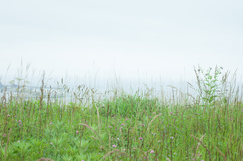 雑草の草刈りのポイント3つ！草が生えにくい環境づくりに大切なことは？