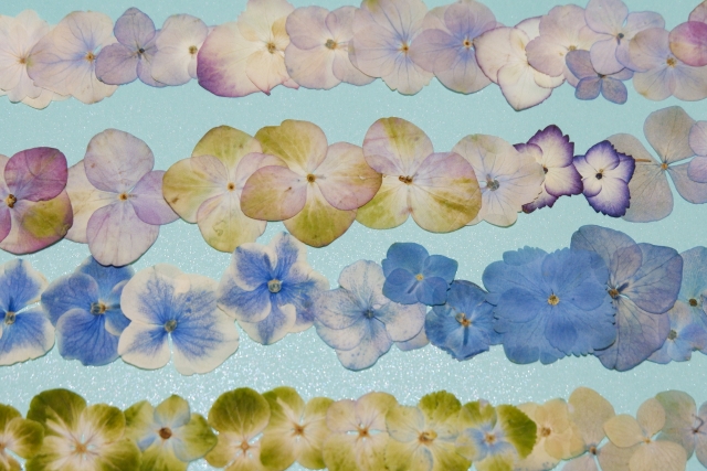押し花の作り方!変色させずに簡単・きれいに作製する方法をご紹介!