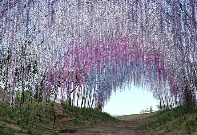 藤(フジ)とは?特徴・種類や色別の花言葉をご紹介!