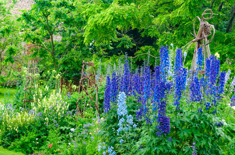 「ニームオイル」とは?虫除け剤としての使い方や効果をご紹介!