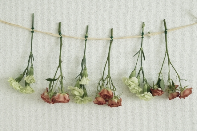 バラでドライフラワーを作る方法!簡単な作製手順から飾り方まで紹介!