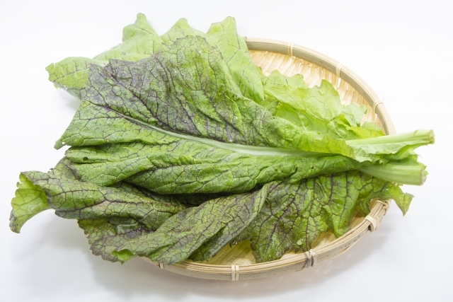 高菜の育て方!種からの育苗のコツや収穫方法・食べ方までご紹介!のイメージ