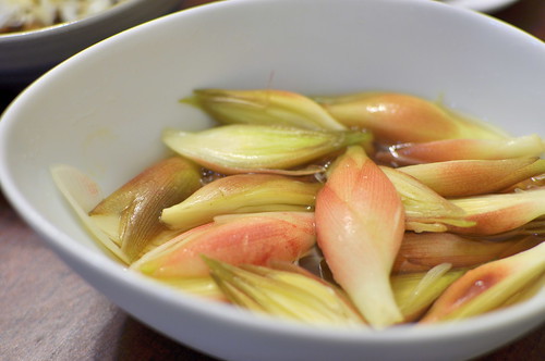 ミョウガの収穫時期の見分け方と上手な収穫方法!収穫後の貯蔵方法まで!