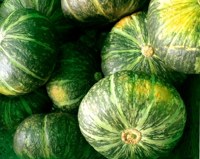 かぼちゃの収穫時期の見分け方と上手な収穫方法!収穫後の貯蔵方法までご紹介!のイメージ