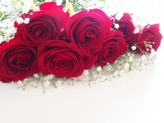 バラの本数別の意味・花言葉まとめ!5本のバラの花言葉は何?のイメージ