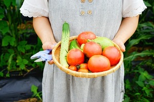 ダイソーで買える「野菜の種」を紹介！100均でコスパよく栽培しよう！