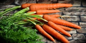 セリ科とは？セリ科の植物の特徴や代表的なセリ科の花・野菜を紹介！