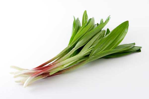 ギョウジャニンニクの特徴・見分け方！イヌサフランとの違いは？のイメージ