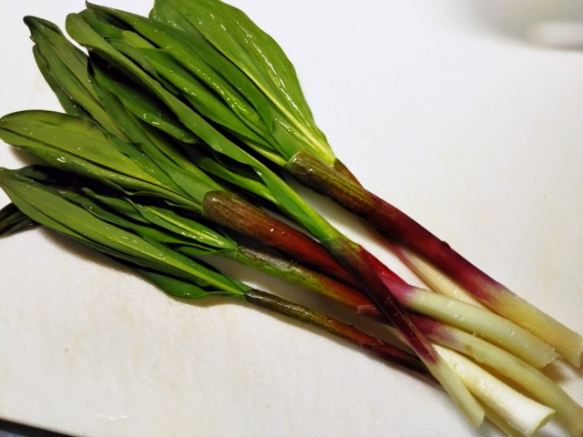 ギョウジャニンニクとは?山菜の王様ともいわれる理由や食べ方を解説!