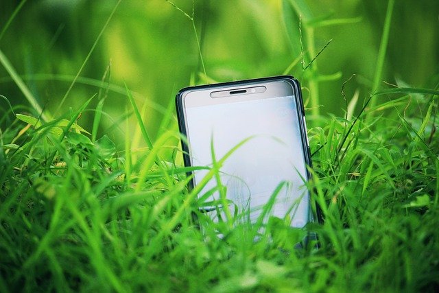 「この花は何?」撮影するだけで花・植物の名前がわかるアプリ7選!