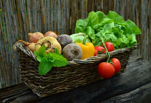 主要野菜の相場を解説!安い場合・高い場合だいたいの値段はいくら?
