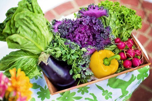 野菜は食べなくても大丈夫か?野菜を摂取するの意味や効果を解説!