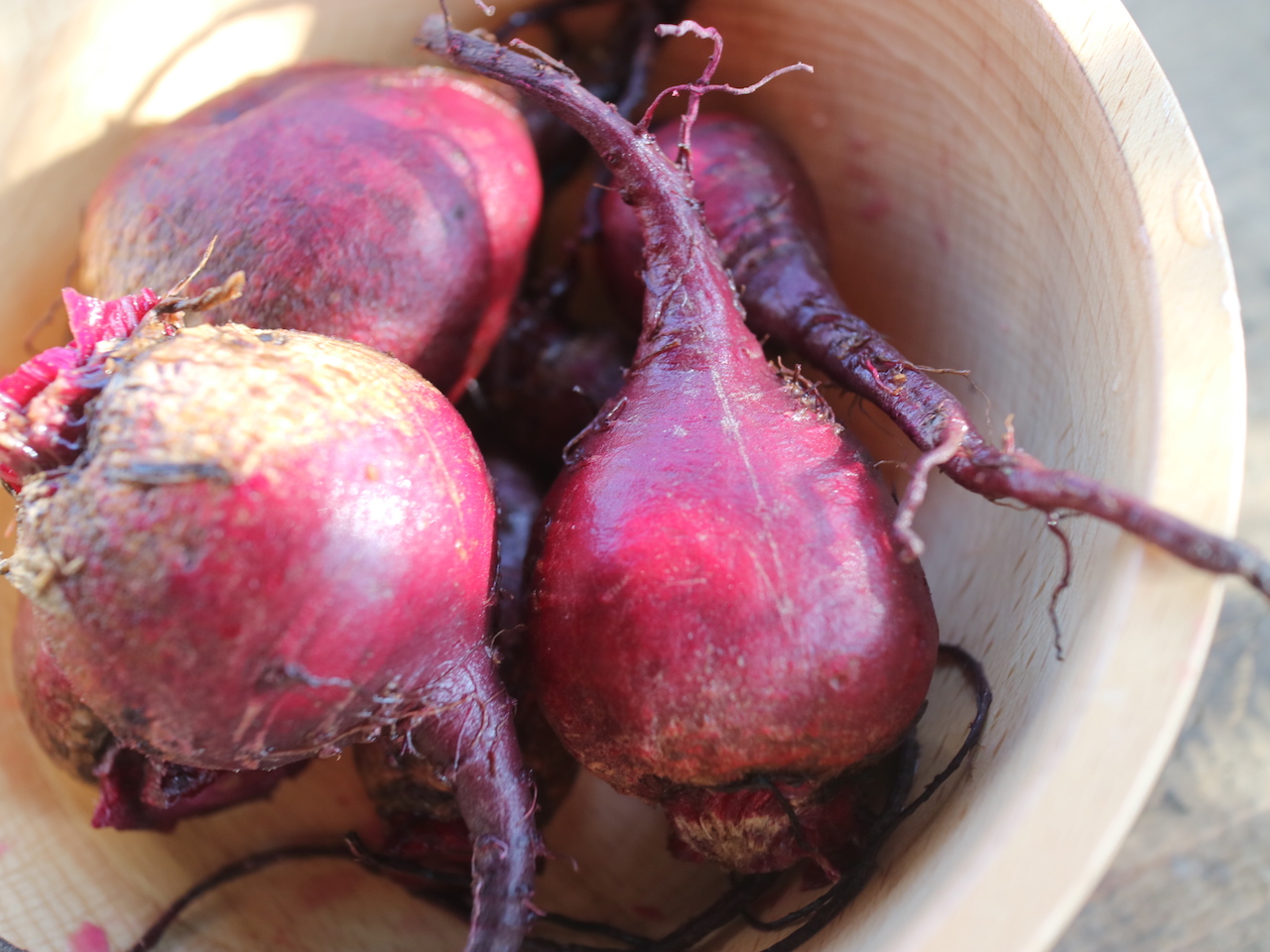 テーブルビートとはどんな野菜？味や旬な時期から食べ方までご紹介！