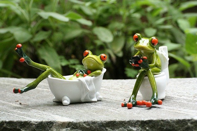 トイレにおすすめの観葉植物6選!風水的に置くとよいとされるのは?