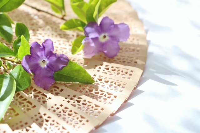 ニオイバンマツリ（匂蕃茉莉）とは？香りなどの特徴や花言葉をご紹介！