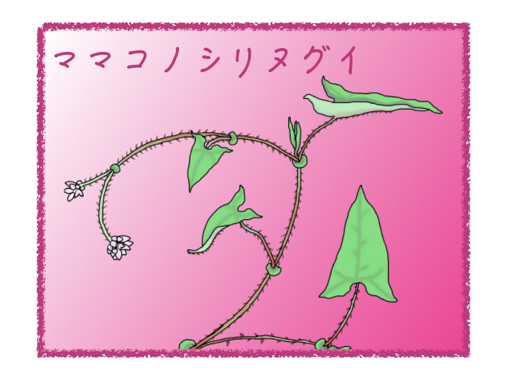 ママコノシリヌグイ(継子の尻拭い)とは?特徴や名前の由来を紹介!