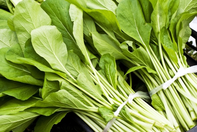 ほうれん草の育て方!植え付けから収穫までの管理のコツを徹底解説!のイメージ