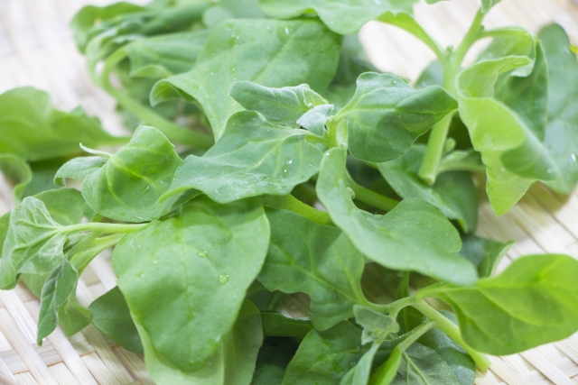 ツルナとは?その特徴・栄養から栽培方法や食べ方・レシピまで紹介!のイメージ