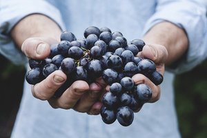 ハスカップジュエリーは北海道土産にオススメ？気になる味や食感は？