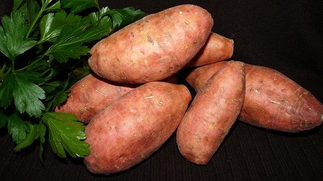 さつまいもに賞味期限はあるか?日持ちを長持ちさせるための保存法も紹介!