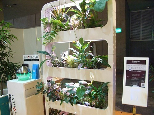 ハイドロカルチャーへの植え替えガイド!根腐れさせないコツを解説!のイメージ