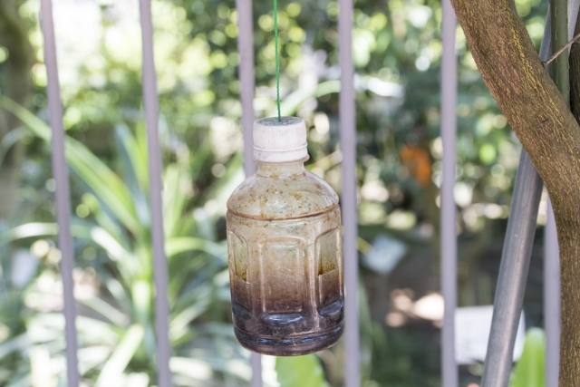 木酢液で虫除けできる?木酢液で期待できる8つの効果と自作手順を紹介!のイメージ