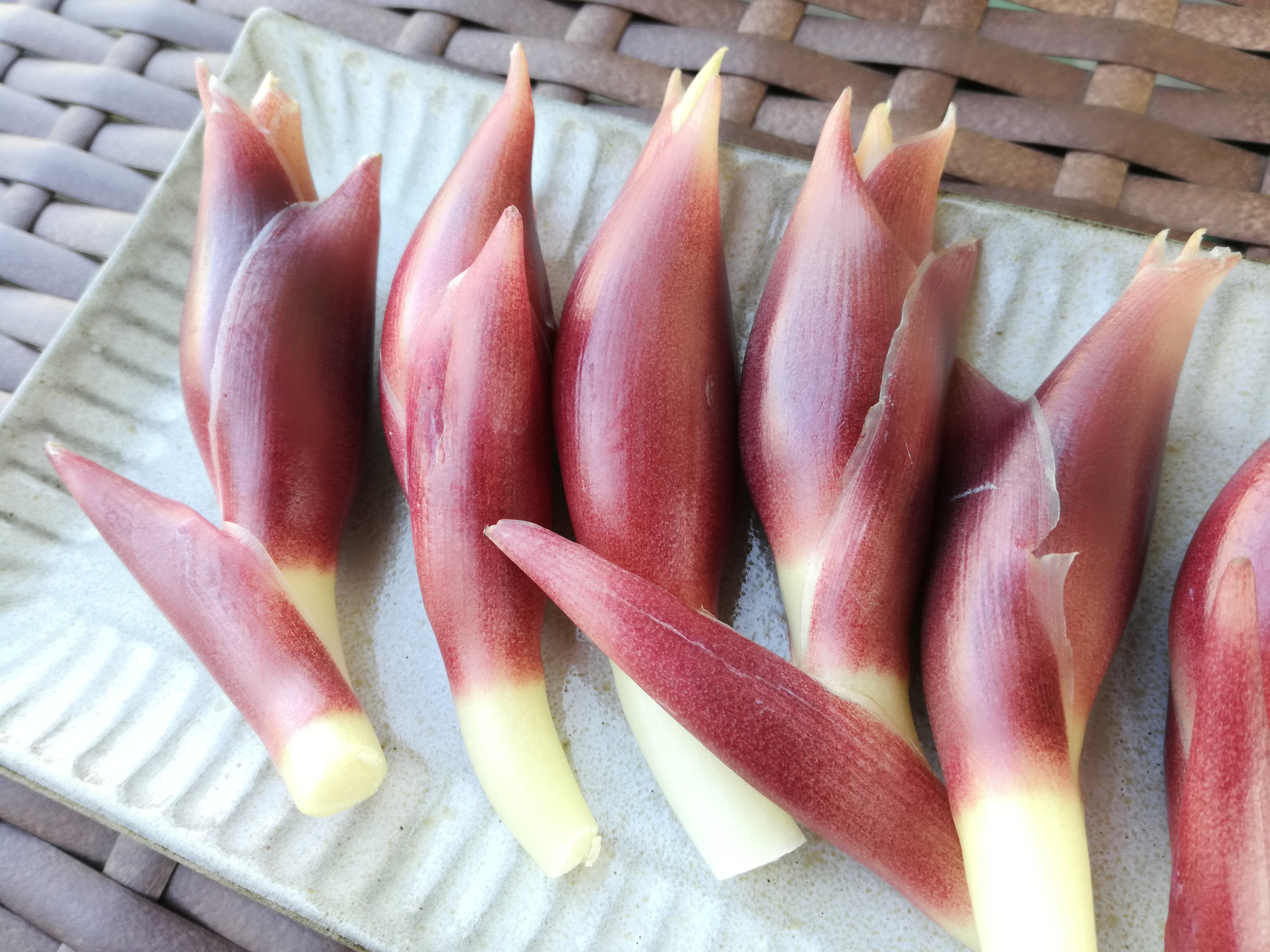 みょうがは冷凍保存できる?適切な保存方法と解凍後おすすめレシピを紹介!のイメージ