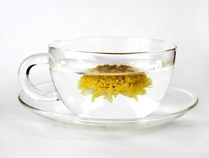 菊花茶（キクカチャ）とは？その味・効能から作り方や飲み方まで紹介！