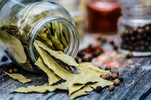 月桂樹の葉って知ってる?乾燥方法から使い方や効果・効能までご紹介!