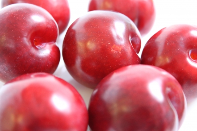 スモモとは?プルーンやプラムとは違う?種類や特徴・英名などを紹介!