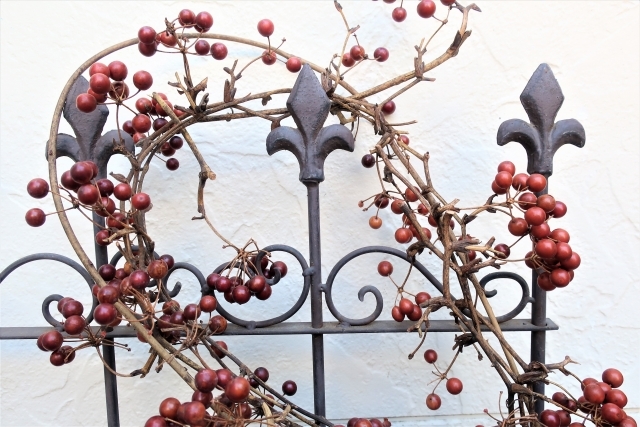 サンキライ（山帰来）の育て方！植え替えや実をつけるコツなどを解説！