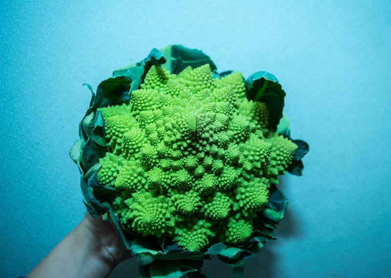 ロマネスコのおすすめの食べ方!茹で方や切り方はどうしたらいいの?のイメージ