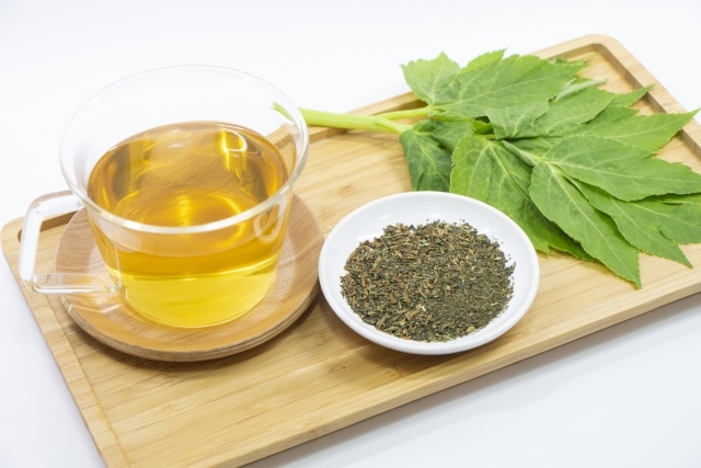 明日葉(あしたば)の育て方!種まき・育苗から収穫までの管理のコツは?